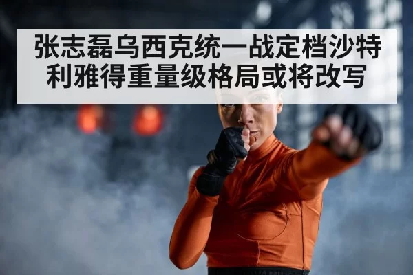 Zhilei Zhang punching